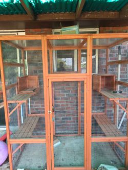 Catio