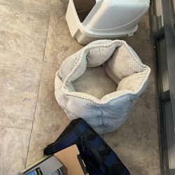 Cat Supplies 