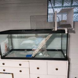 Aauarum  with  Large Turtle platform plus extras