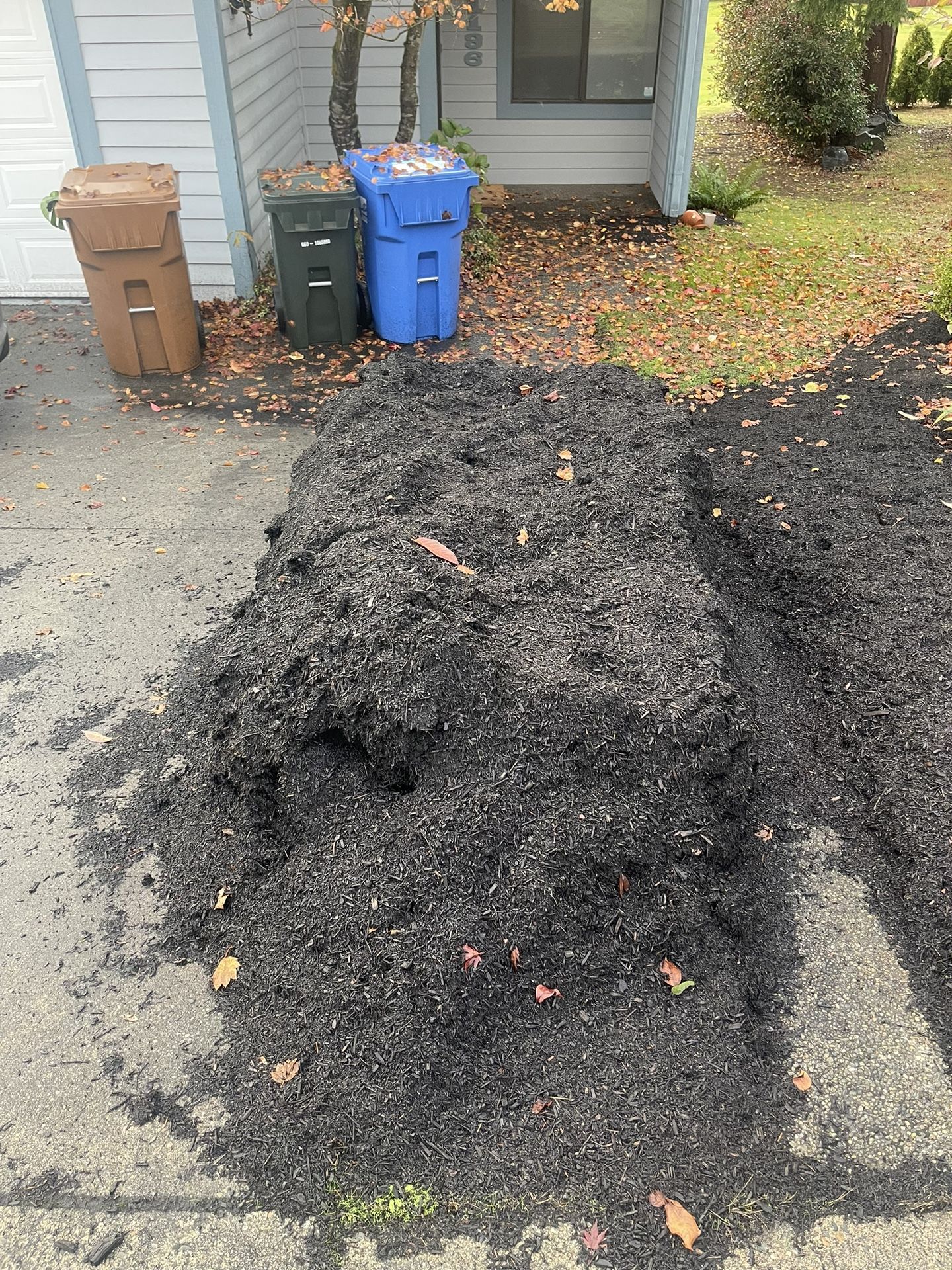 Tagro Aged Black Bark for Sale in Tacoma, WA - OfferUp