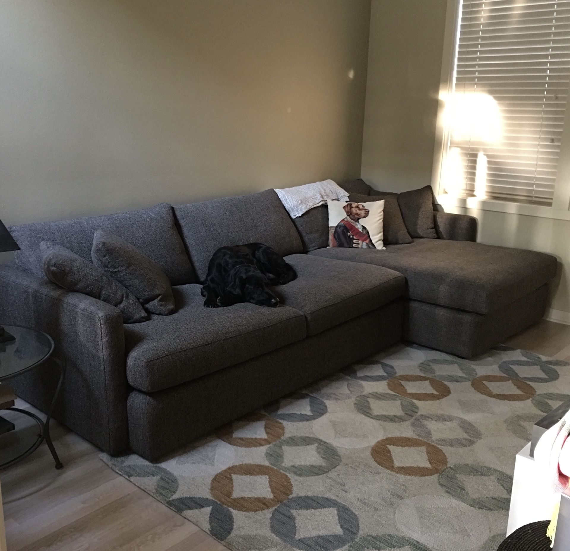 Crate and Barrel Lounge II 2-piece Sectional Sofa (couch)