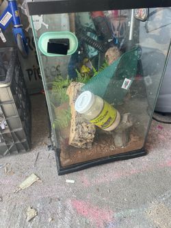 Reptile tank