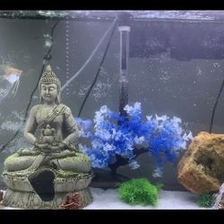 Fish Tank 55 Gallon 