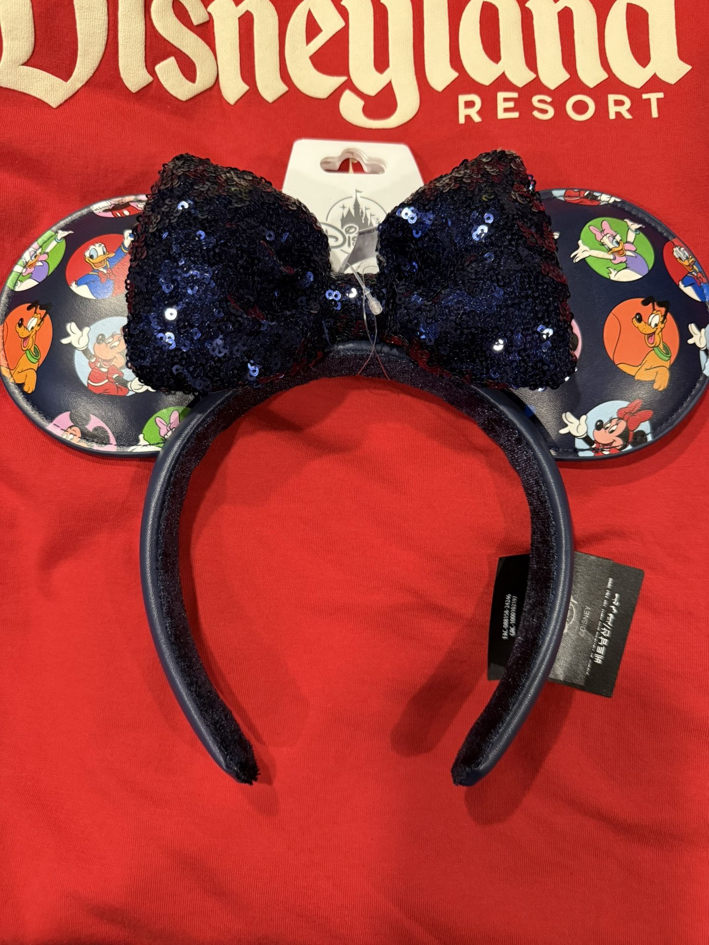 Disney Friends Ears