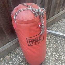 Everlast Punching Bag