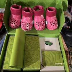 Dog Crocs New In Box Size Large 
