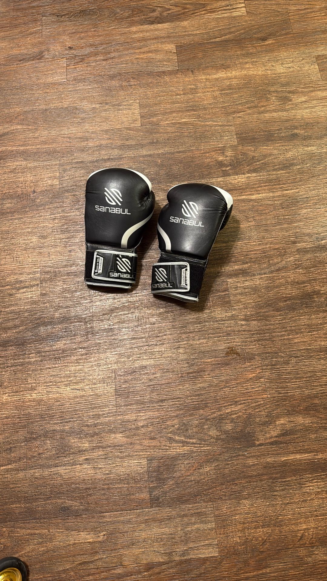 Good Condition SANABUL Boxing Gloves