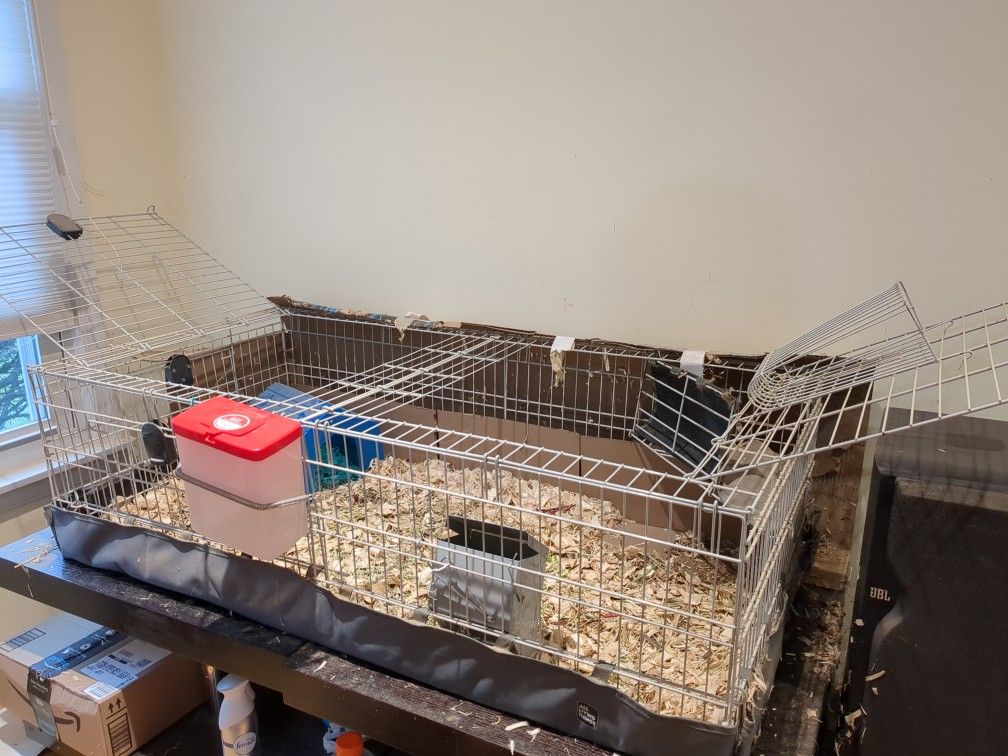 Guinea Pig Cage And Food