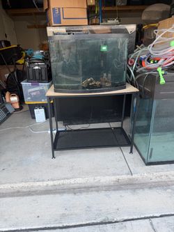 Fish tank