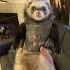Tom