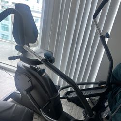 Elliptical Bike Teeter $90