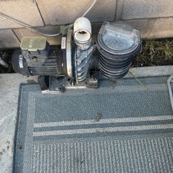 Pool pump motor and pump basket