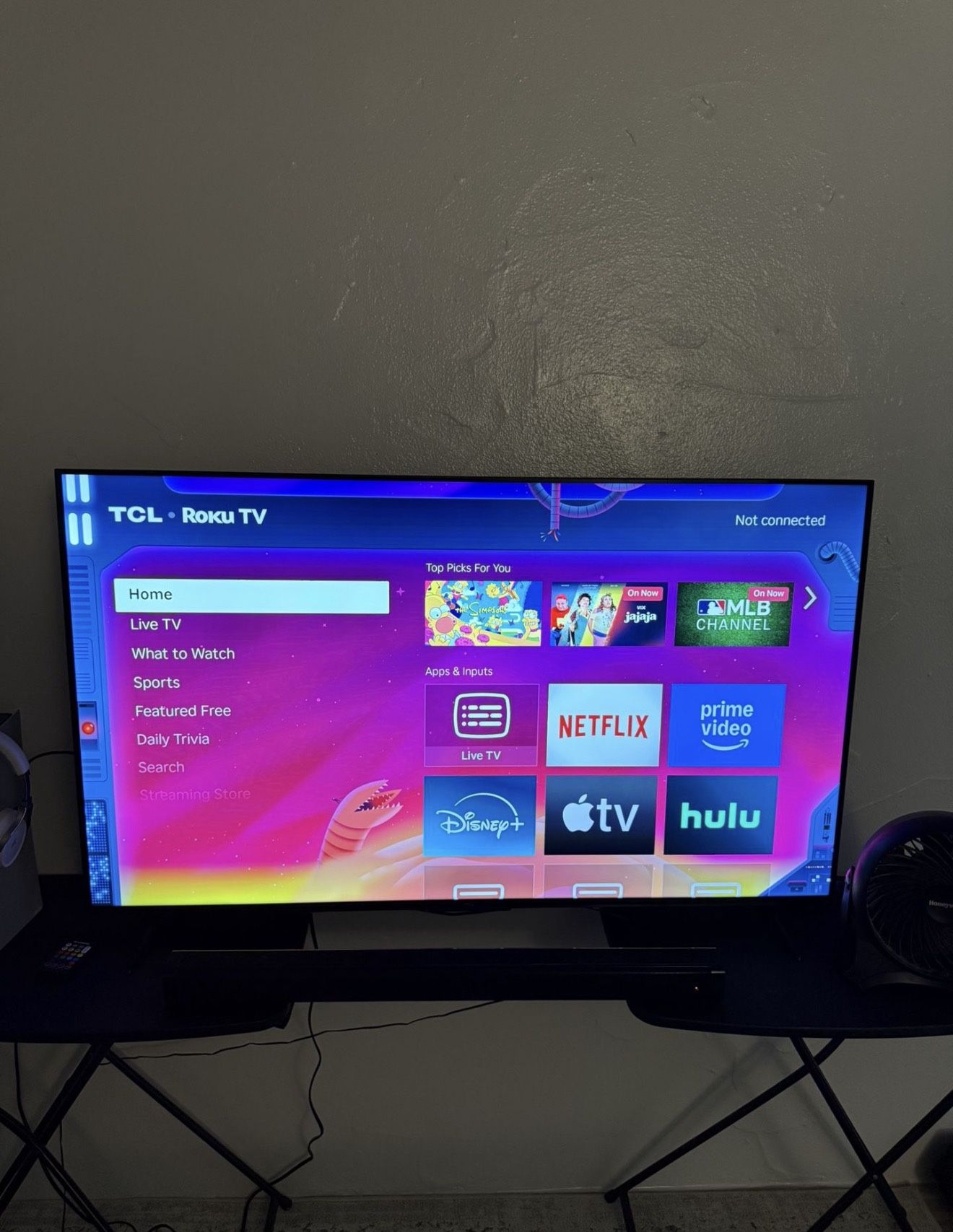 55 inch Roku TV
