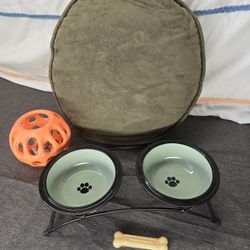 Small Dog Pet Essentials (Dark Green) Bundle