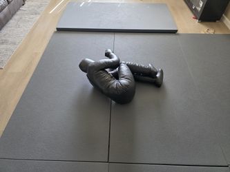 2 Zebra Gym Mats 2"