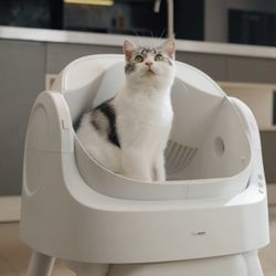 Cat Auto Scooper 
