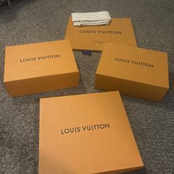 Louis Vuitton BOXES AND BAGS