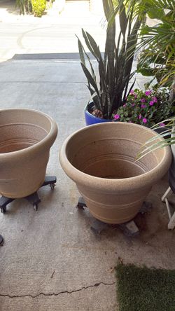 2 Plastic Pots