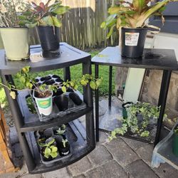 Choose Two For $20 Any Assorted Plant Stand Racks Pedestal 