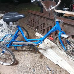 Adventure Three Wheel Bike 