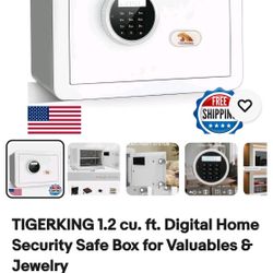 Caja Fuerte     Safe Box. $50