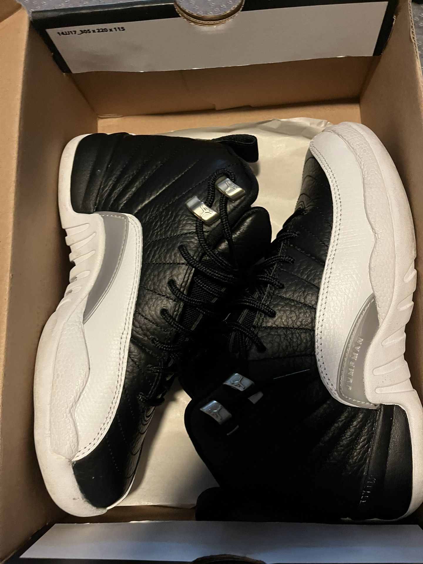 Jordan 12s