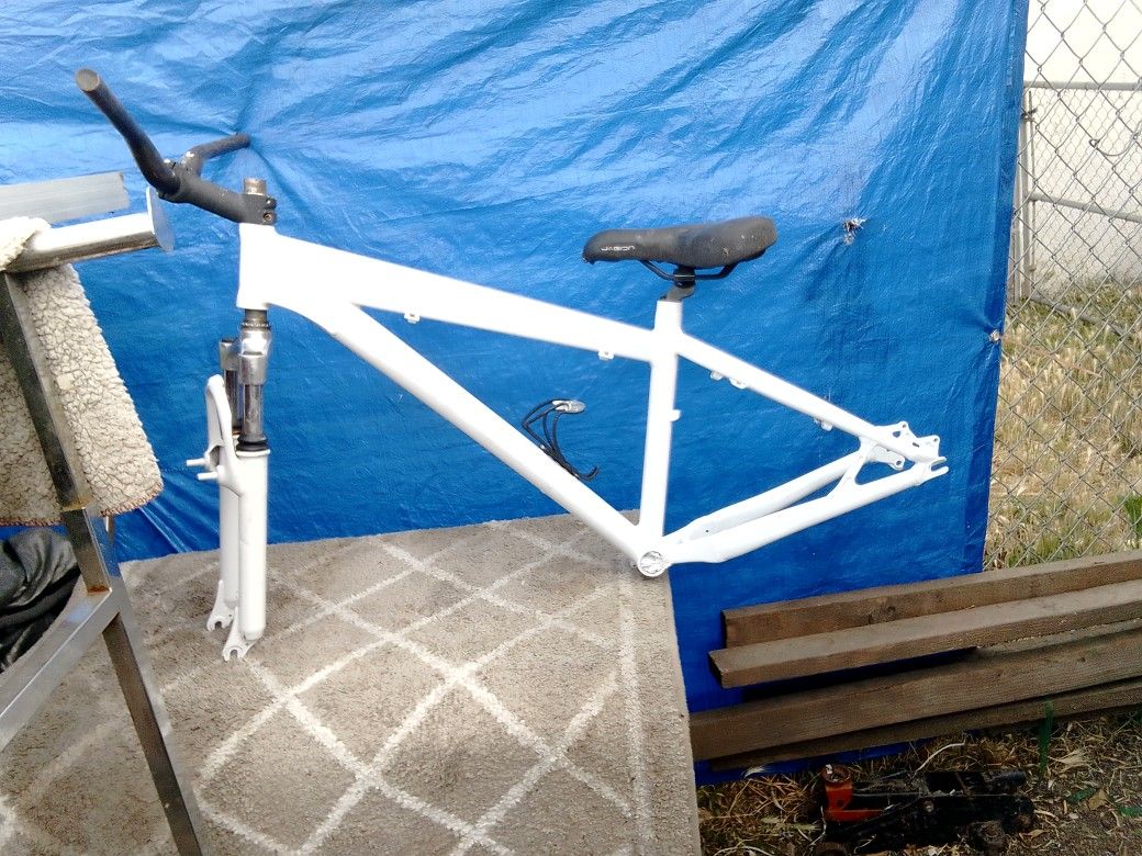Specialized P3 Bike Frame