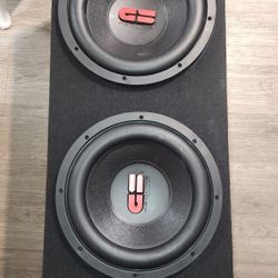 Two 12 inch GS Redline Subwoofers with custom box