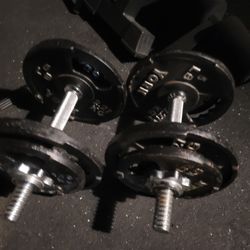 25lbs Dumbells Weights