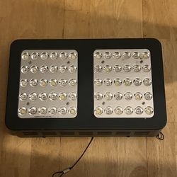 Grow Light