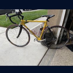 Road Bike Cycle Cycling Bicycle 