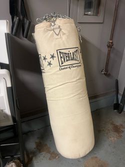 Everlast punching bag