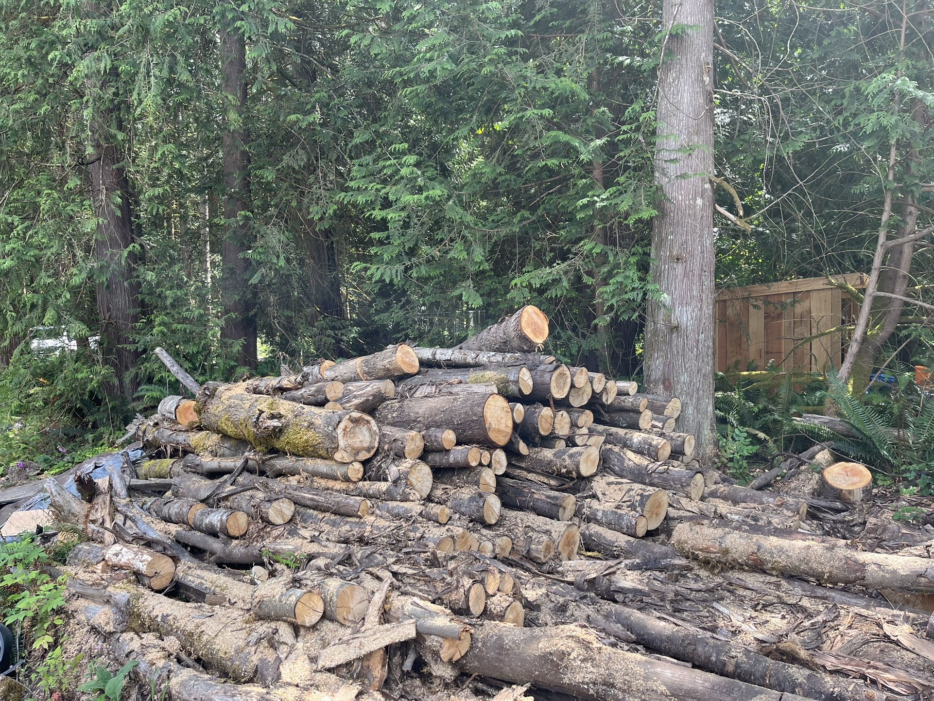 Free Seasoned Firewood
