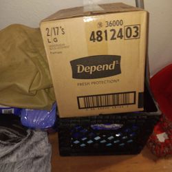 Depends Women's Large