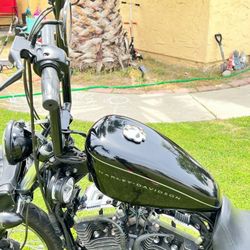 Harley Davidson Nightster! 🌟 