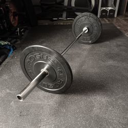 Rogue 10lb Hg Bumper Plates With New 35lb Olympic Barbell 