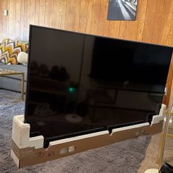 70 in Vizio w/wall mount