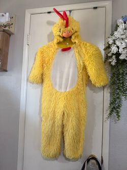 Chicken costume