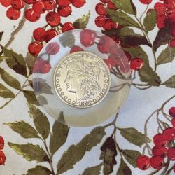 1880 Morgan Silver Dollar