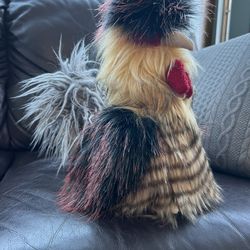 Silkie Hatching Eggs 