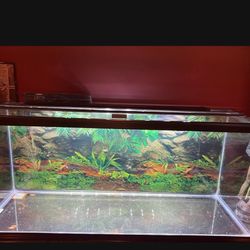75 Gallon Marine Land Fish Tank With Hood And 110 Gallon Fluval Filter Mint Condition! 