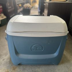 62QT Igloo Cooler