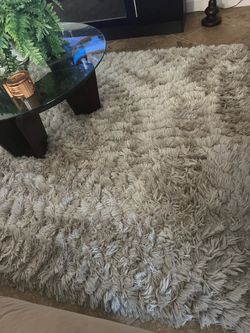 Plush 6 by 9 area rug clean no pets