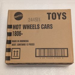 Brand New Hot Wheels 5 Pack Assortment Case 1806