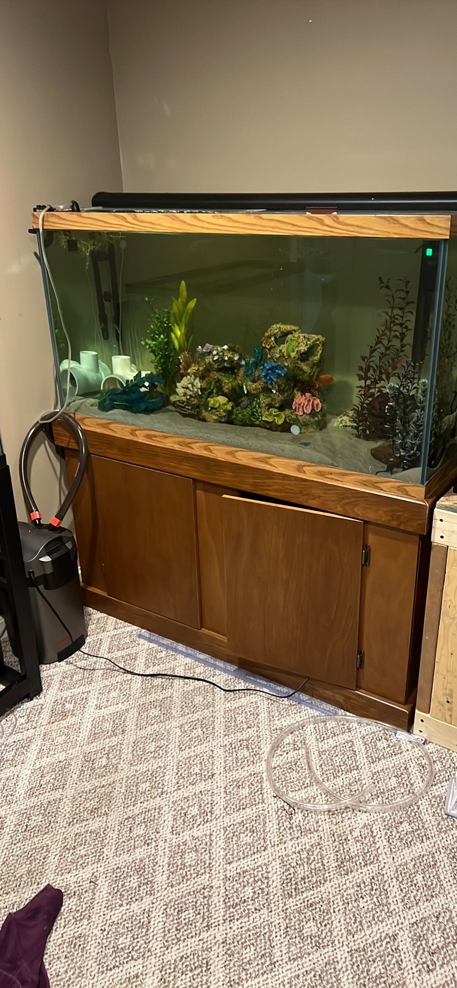 90 Gallon Aquarium