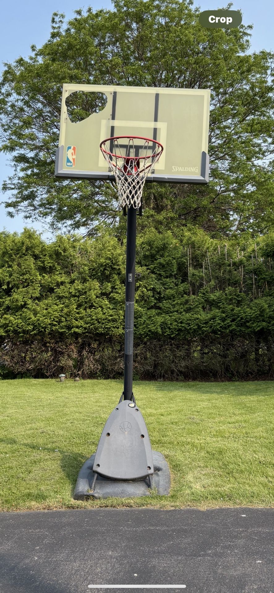 Basketball Hoop $75