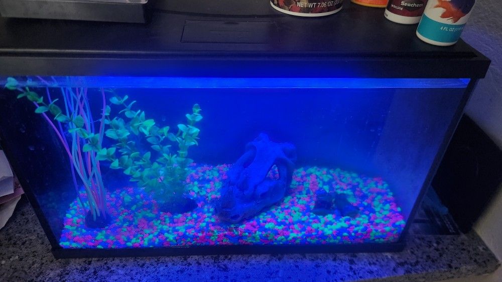 10 GAL FISH TANK