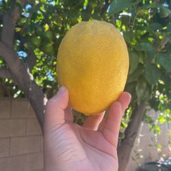 Lemons