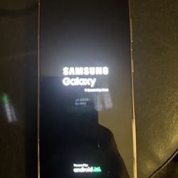 Samsung Galaxy S21