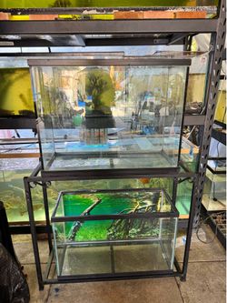 Fish tanks